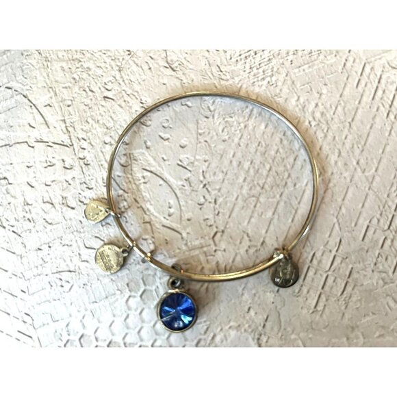 Alex and Ani Saphire Birthstone Bracelet Silver Tone - Picture 6 of 9